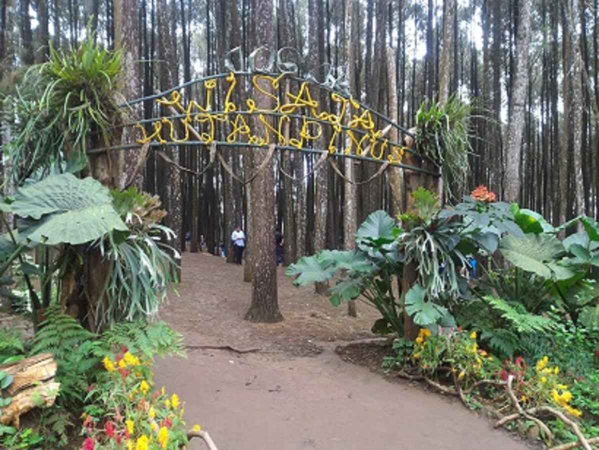 La Javanaise Home Stay Malioboro ยอกยาการ์ตา ภายนอก รูปภาพ